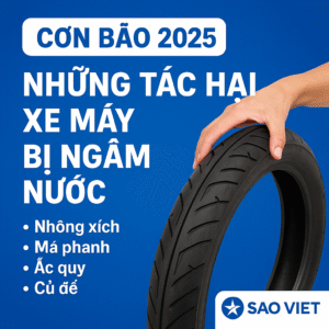 Sản phẩm Sao Việt
